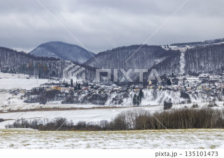 Rural winter landscape with village and snowy mountains Rural winter landscape with village and snowy mountains 135101473