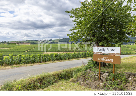 Pouilly Fuisse Vins de Bourgogne sign with green vineyard landscape Pouilly Fuisse Vins de Bourgogne sign with green vineyard landscape 135101552