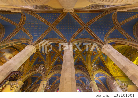 Vaulted ceiling of Ascoli Piceno cathedral interior Vaulted ceiling of Ascoli Piceno cathedral interior 135101601