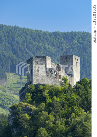 Strecno Castle ruins in Zilinsky kraj, Slovakia 135101635