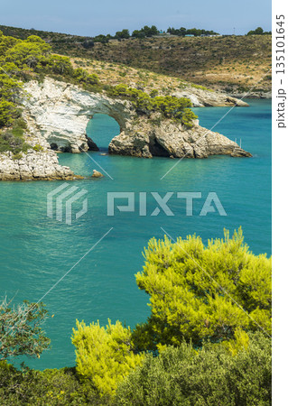 Arco di San Felice natural arch in Adriatic Sea, Vieste, Apulia 135101645