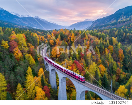 Modern red train crossing viaduct amidst alpine mountains in autumn landscape Modern red train crossing viaduct amidst alpine mountains in autumn landscape 135102764