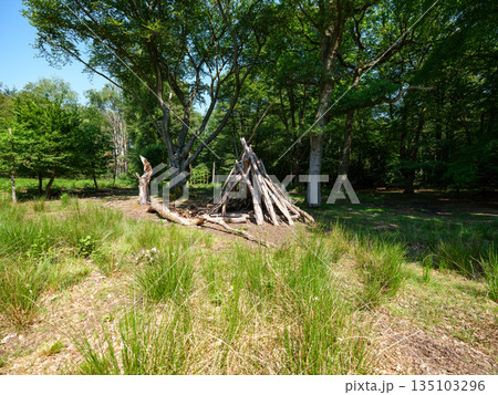 Primitive Wooden Shelter Made of Logs and Branches in a Green Forest Clearing, Outdoor Survival and Bushcraft Concept 135103296