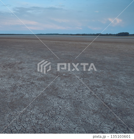 Cracked earth, desertification process, La Pampa Province, Patagonia, Argentina. Cracked earth, desertification process, La Pampa Province, Patagonia, Argentina. 135103601