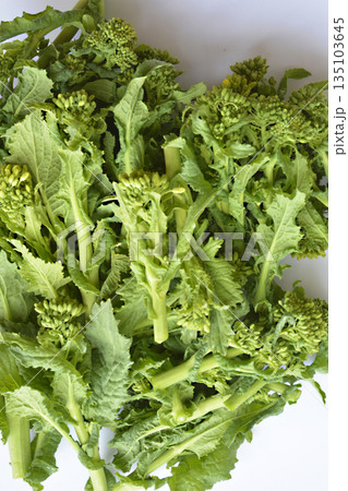 食用菜花 135103645
