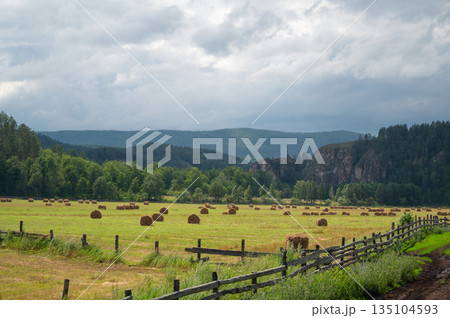 Hay bales resting in a field with a wooden fence and mountains in the background Hay bales resting in a field with a wooden fence and mountains in the background 135104593