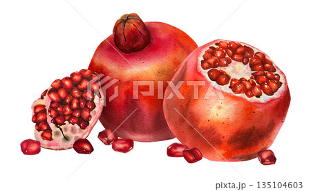 Watercolor illustration of red pomegranate with separated segments and seeds. Illustration for juice packaging, healthy lifestyle content, kitchen decor, cosmetics and wellness products. 135104603