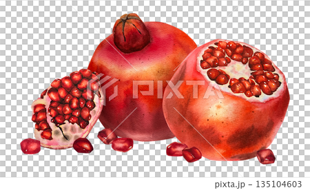 Watercolor illustration of red pomegranate with separated segments and seeds. Illustration for juice packaging, healthy lifestyle content, kitchen decor, cosmetics and wellness products. 135104603