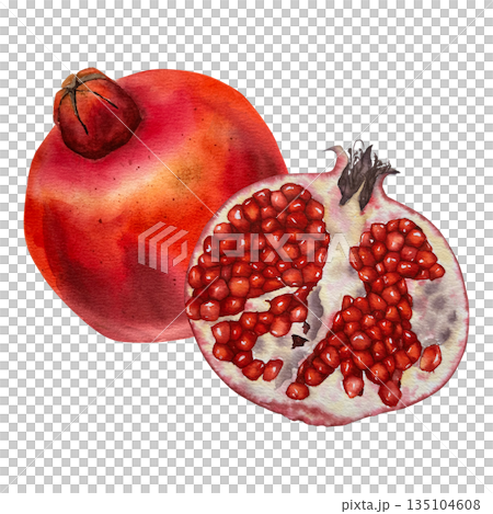 Watercolor illustration of a whole red pomegranate and a juicy half with seeds. Illustration for packaging, juice branding, cosmetics, kitchen decor, wellness and nutrition projects. Watercolor illustration of a whole red pomegranate and a juicy half with seeds. Illustration for packaging, juice branding, cosmetics, kitchen decor, wellness and nutrition projects. 135104608