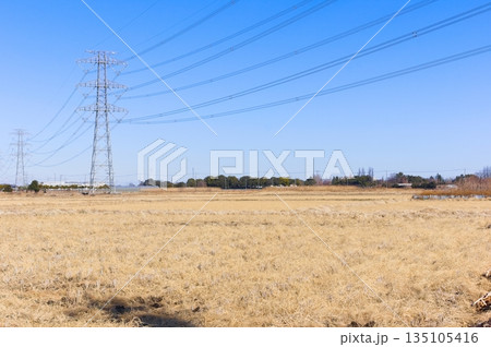 埼玉県さいたま市しらこばと運動公園周辺2026年1月 埼玉県さいたま市しらこばと運動公園周辺2026年1月 135105416