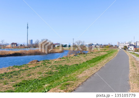 埼玉県越谷市元荒川沿いの風景2026年1月 135105779