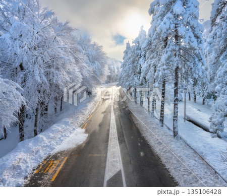 Aerial view of mountain road in snow-covered forest at sunset Aerial view of mountain road in snow-covered forest at sunset 135106428