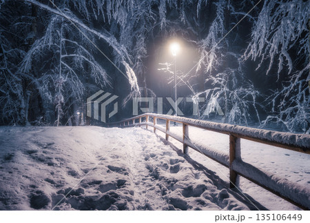 Snow-covered forest path at night illuminated by street lights Snow-covered forest path at night illuminated by street lights 135106449
