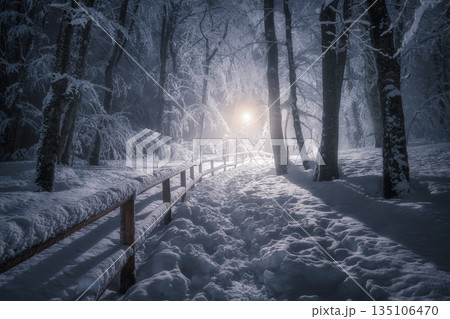 Snow-covered forest path at night illuminated by street lights Snow-covered forest path at night illuminated by street lights 135106470