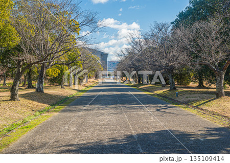 国営平城宮跡歴史公園　世界遺産古都奈良の文化財　奈良市 135109414