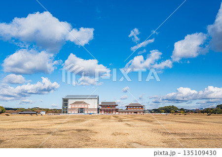 国営平城宮跡歴史公園　第一次大極殿南門復元工事　奈良市 135109430