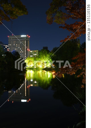 紅葉のライトアップされた秋の庭園 紅葉のライトアップされた秋の庭園 135110336