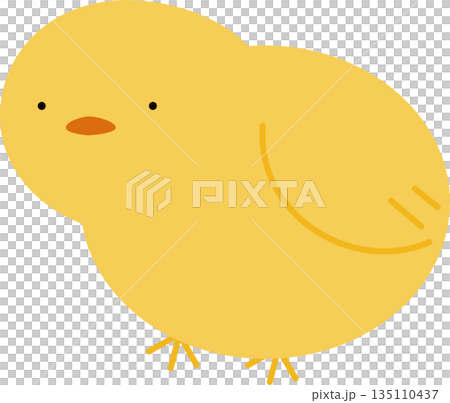 Cute chick illustration Cute chick illustration 135110437