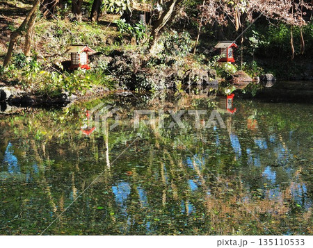 静岡県　富士宮浅間大社の湧玉池　禊所　1月 135110533