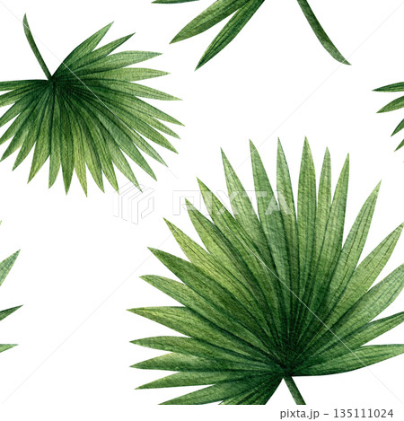 Seamless pattern with tropical palm leaves. Hand-drawn watercolor illustration on a white background. Template for textiles, fabric, and scrapbooking 135111024