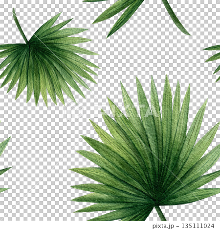 Seamless pattern with tropical palm leaves. Hand-drawn watercolor illustration on a white background. Template for textiles, fabric, and scrapbooking 135111024