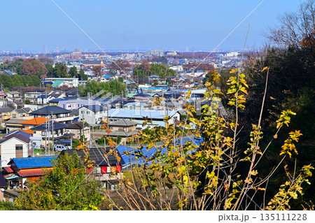 比良の丘から所沢市街地の眺め　所沢市　 135111228