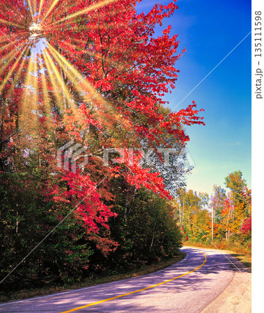 アメリカ・ニュイングランド地方の美しい紅葉風景 アメリカ・ニュイングランド地方の美しい紅葉風景 135111598
