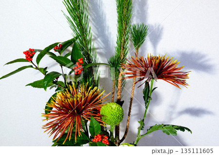 お正月 花瓶に飾る松、キク、千両などのお花 お正月 花瓶に飾る松、キク、千両などのお花 135111605
