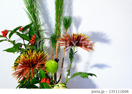 お正月 花瓶に飾る松、キク、千両などのお花 お正月 花瓶に飾る松、キク、千両などのお花 135111606