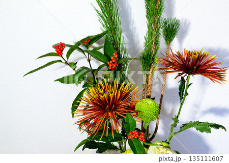 お正月　花瓶に飾る松、キク、千両などのお花 135111607