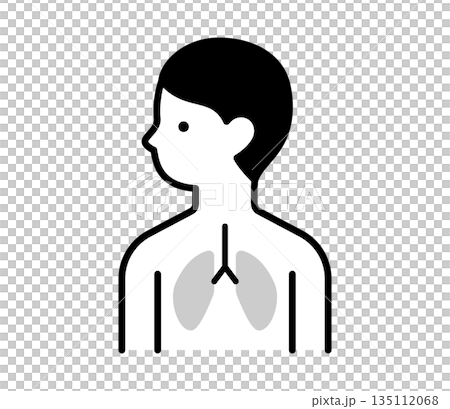 簡單肺圖示插圖向量 135112068