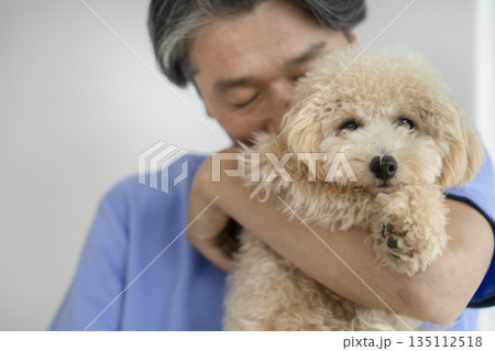 中年男性に抱っこされたビションプーの子犬（10ヶ月の女の子） 135112518