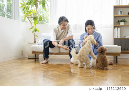 50代の夫婦と2匹の犬　犬との暮らしイメージ 135112620
