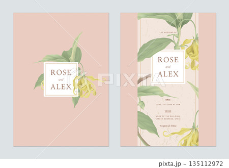 Floral wedding invitation card template design, cananga odorata flowers with leaves on bright orange 135112972