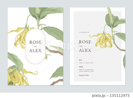 Floral wedding invitation card template design, cananga odorata flowers with leaves on white 135112973