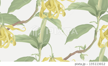 Floral seamless pattern, cananga odorata flowers with leaves on bright grey 135113012
