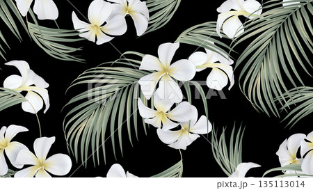 Floral seamless pattern, white plumeria flowers with indoor bamboo palm leaves on black 135113014