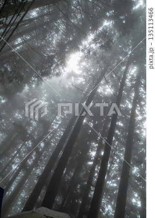 various 135113466