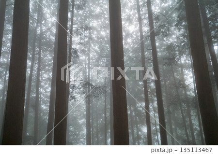 various various 135113467