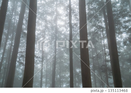 various various 135113468