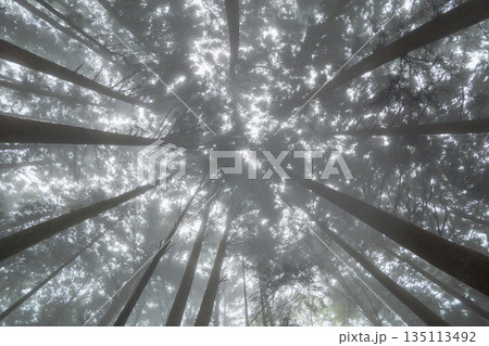 various 135113492