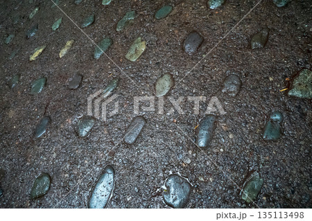 various various 135113498