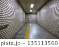 Nov 23 2025 Dim Subway Corridor With Brick Walls, Fluorescent Lights, 135113560