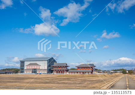 国営平城宮跡歴史公園 第一次大極殿南門復元工事 奈良市 国営平城宮跡歴史公園 第一次大極殿南門復元工事 奈良市 135113573