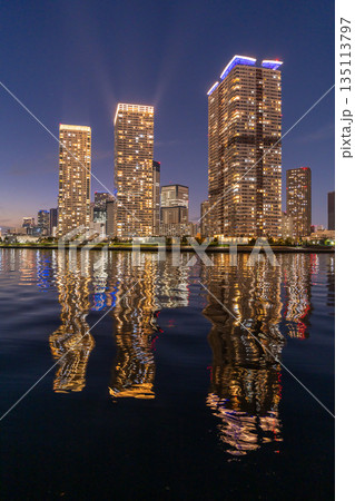 《東京都》豊洲ぐるり公園の夜景・晴海のタワーマンションをのぞむ 135113797