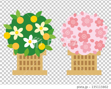 ひな祭り 右近の橘と左近の桜の雛飾りイラスト 135113802