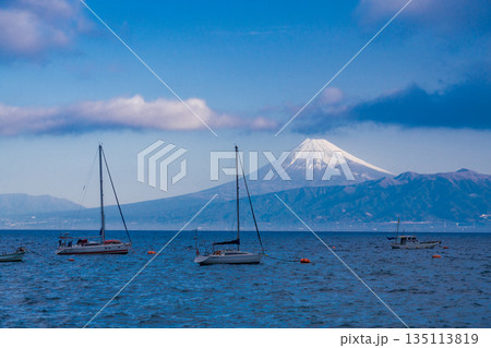（静岡県）駿河湾越に浮かぶヨットと富士山 135113819