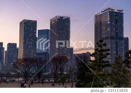 《東京都》豊洲ぐるり公園の夜景・晴海のタワーマンションをのぞむ 135113830