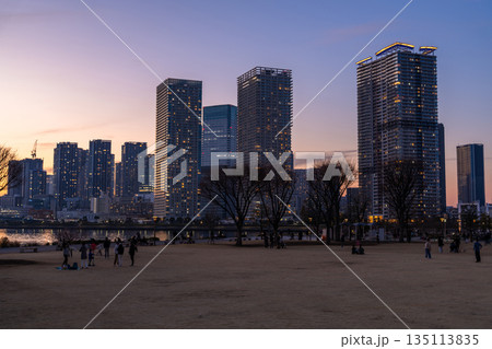 《東京都》豊洲ぐるり公園の夜景・晴海のタワーマンションをのぞむ 《東京都》豊洲ぐるり公園の夜景・晴海のタワーマンションをのぞむ 135113835