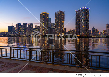 《東京都》豊洲ぐるり公園の夜景・晴海のタワーマンションをのぞむ 135113850